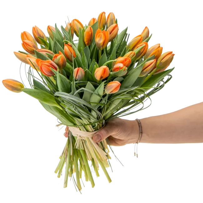 Kytice tulipánů